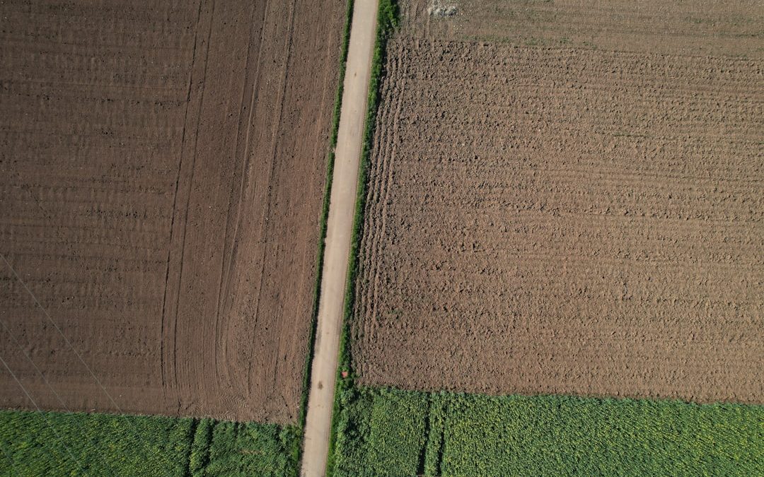 découvrez notre collection de crop tops grande taille, alliant style et confort pour toutes les occasions. trouvez le haut parfait qui mettra en valeur votre silhouette avec confiance.